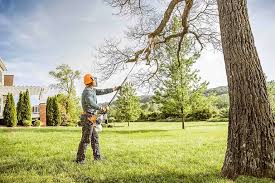Best Lawn Renovation and Restoration  in Joliet, IL