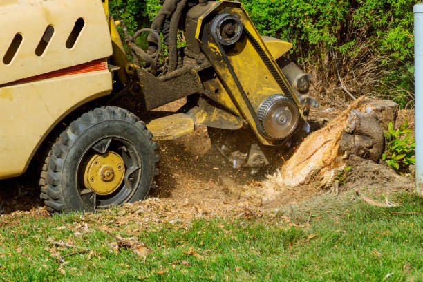 Best Landscape Design and Installation  in Joliet, IL