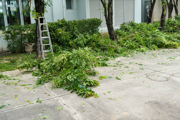 Best Weed Control  in Joliet, IL