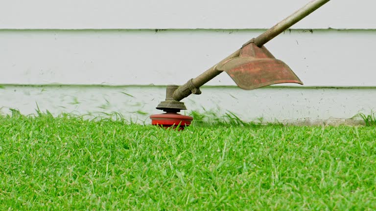 Best Lawn Irrigation Installation and Maintenance  in Joliet, IL